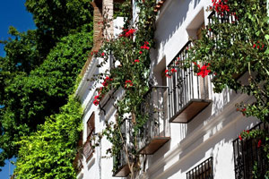 pension aduar casco antiguo marbella